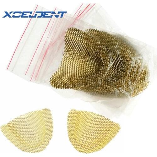 20Pcs/Pack Upper Lower Dental Lab Gold Denture Materials Golden Metal Palatal Reinforcement Mesh For Acrylic Partial Denture