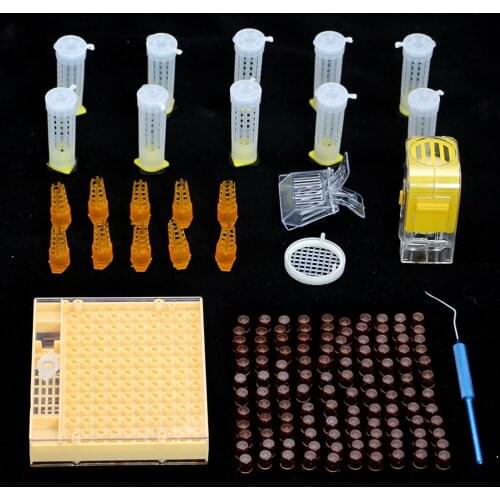 1SET Beekeeping Supplies Kit Queen Rearing Plastic Brown Cell Protective Cage Clip Marker Bottle Pen Larva Needle Box Bee Tools