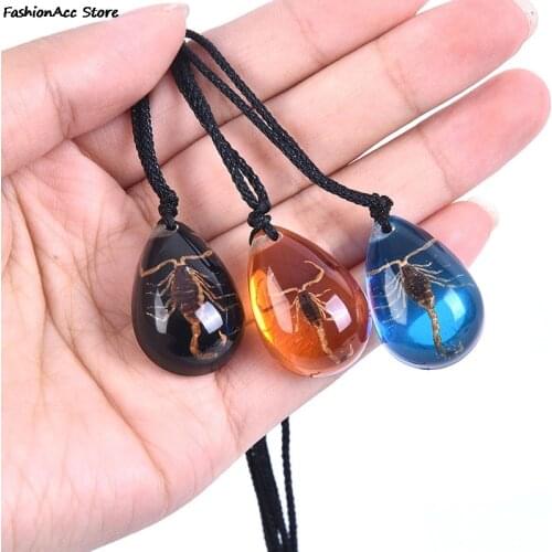 Insect Stone Natural Scorpions Inclusion Amber Baltic Pendant Necklace Home Decorative Stone Wedding Party Travel Gift
