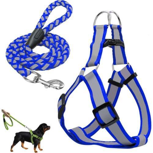 Traumdeutung Harnesses