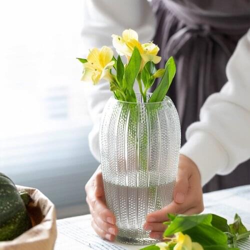 Classic Transparent Vases Living Room Dried Flowers Nordic Ins Thick Glass Dill Home Garden Decoration Accessories Flower Vases
