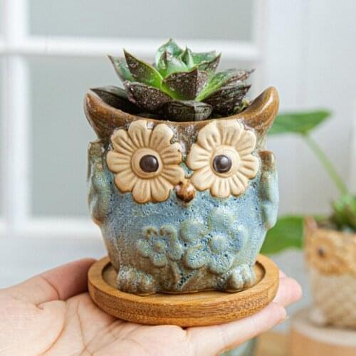 Series Owl Succulents Flower Pots Animal Living Room Ceramic Flowerpot Office Desktop Green Plants Cartoon Planters