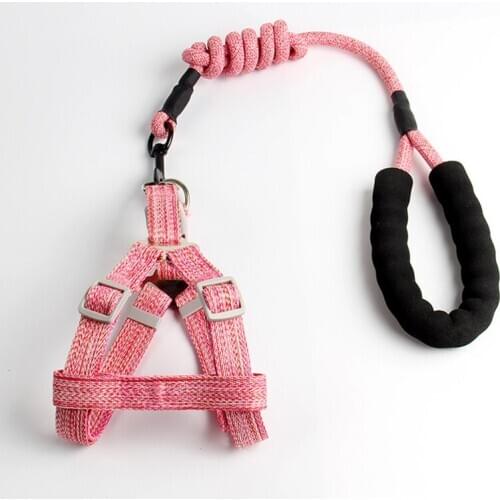 No Pull Dog Harness Leash Set Adjustable Vest Durable Heavy Duty Training Dog Leash Puppy Basic Harness Leash for Small Dogs
