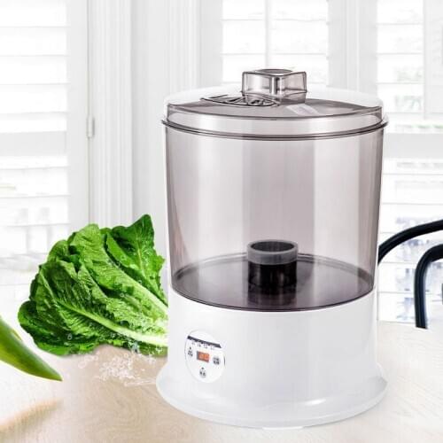 Multifunctional fruit and vegetable detoxification machine household ozone oxygen sterilization food cleaning machine household