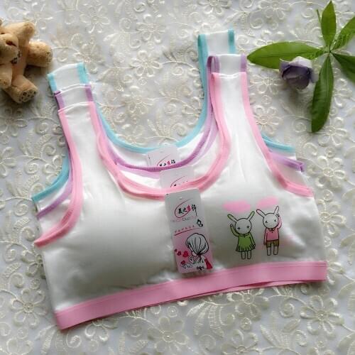5PCS Girls Training Bras Panties Teenage Underpants Girl Teen Bras with Chest Pad Puberty Students Bra Vest 8-18 Years Old
