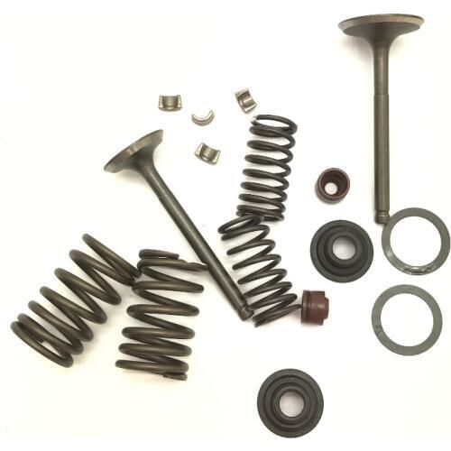 New Spring Assembly Cylinder Head CH250 Valve Set W/Spring And Clips 70-110CC