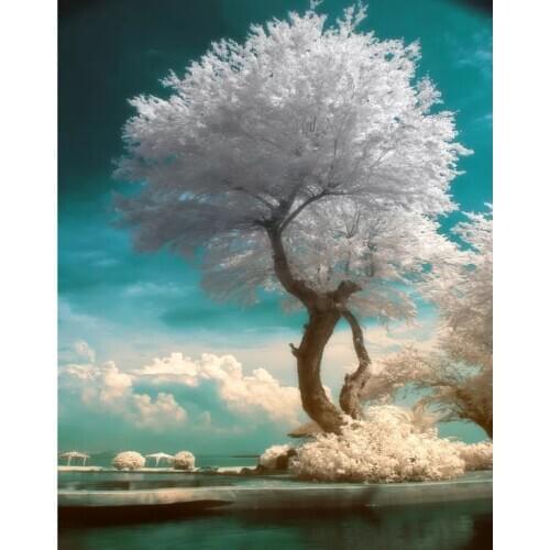 5D DIY Diamond Painting Landscape Painting Snow White Tree Mosaic Embroidery Cross Stitch Embroidery Crafts Decoration FX665