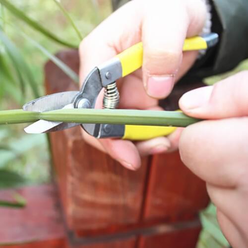 Stainless Steel Cutting Tools Tree Flower Cutter Shears Anti-slip Gardening Pruning Shear Scissor Handheld Plant Pruner