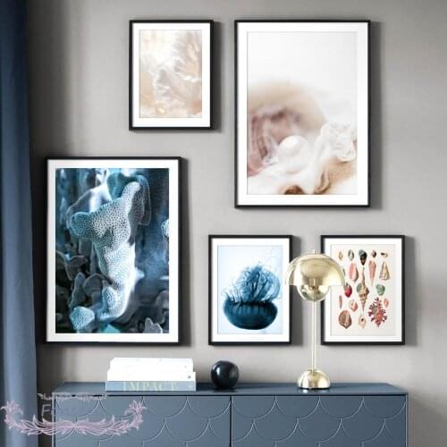 Nordic Conch Coral Pearl Jellyfish Marine Life Posters And Prints Wall Art Canvas Painting Decorative Pictures For Living Room