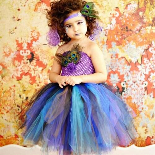 Peacock Feather Princess Dress Girl Flower Dress with Hair Clips Kids Party Dresses 2pc Set Baby Vestidos Birthday Tutu Dress