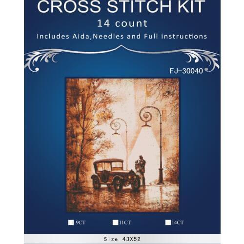 Top Quality Lovely Hot Sell Counted Cross Stitch Kit Old World Holiday Ornaments Similar DMC fj-30040 rainy street