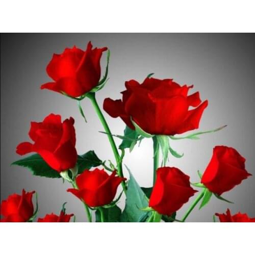 New Arrivals 5D Diamond Painting Flower Full Square/Round Diamond Mosaic Diamond Embroidery Cross Stitch Landscape Resin Drill