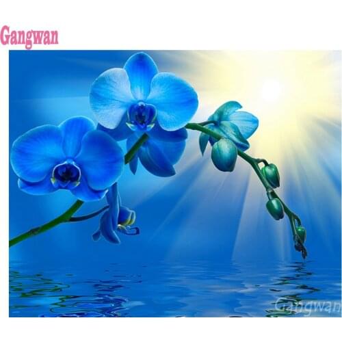 Diamond Embroidery,sunrise Flowers, Blue orchid ,5d diy home Decoration,3D Diamond Painting Cross Stitch, Mosaic, full drill