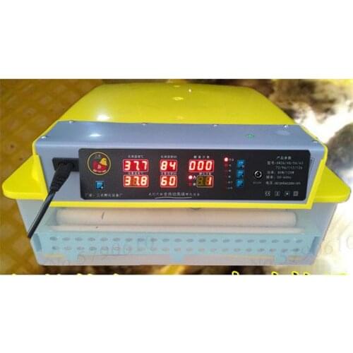 Local Egg Incubator Small Household Incubator Egg Incubator Automatic Incubation Technology