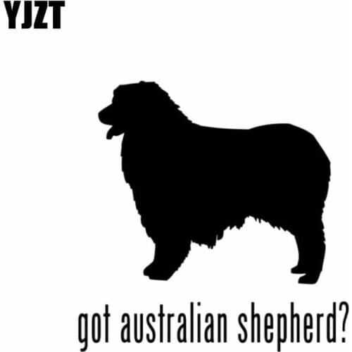 YJZT 15CM*15CM Got Australian Shepherd Herding Dog Waterproof Vinyl Car Sticker Black/Silver C2-3288
