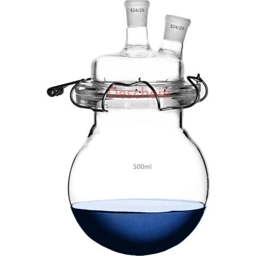 500ml,24/29 Glass Reaction Kettle 2-Neck Lab Reactor With Two Necks Lid & Steel Clip