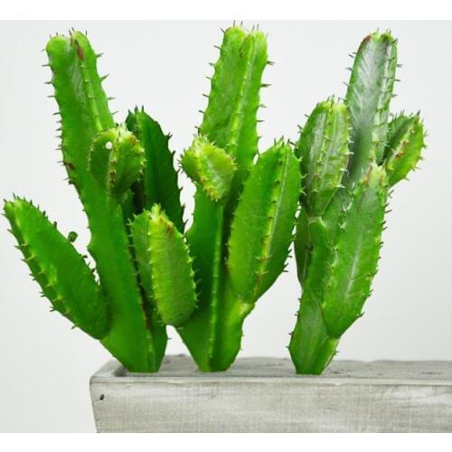 Artificial Succulents Cactus Green Plant Simulation Plants Fake Plastic Flowers DIY Home Decoration Desert Plants Landscape