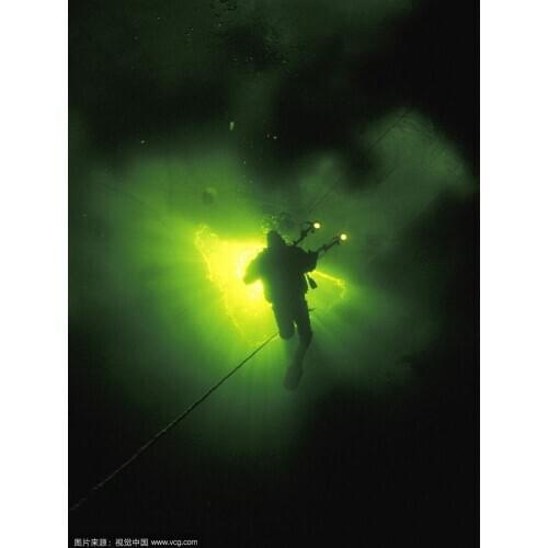 Dimmable 250W LED Fishing Light Bass Fishing Tackle 12V Underwater Diving Lamp 5M cable