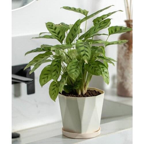 3PCS Nordic Home Decor Resin Plastic Flower Decorative Pot Plant Thicken Simple Large Succulent Garden Pot With Tray Palm Vase