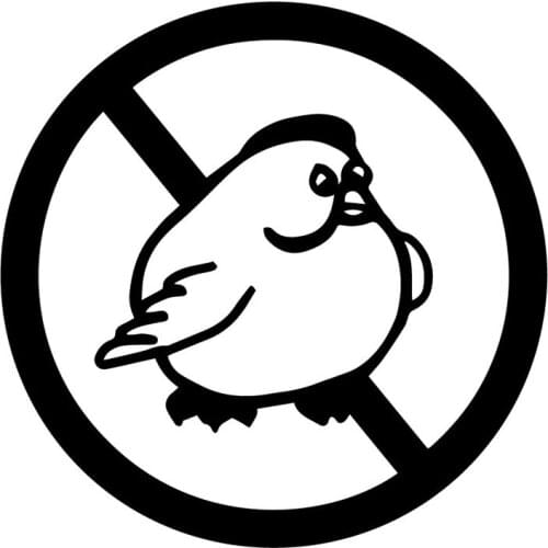 15.4X15.4CM No Fat Chick Animal Vinyl Decals Window Decoraiton Car Sticker