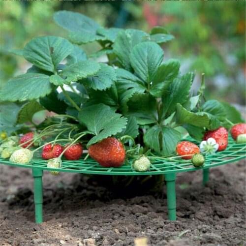 10pcs Strawberry Stand Fruit Holder Planting Climbing Mount For Vine Pillar Gardening Table Climbing Pillar Balcony Planter