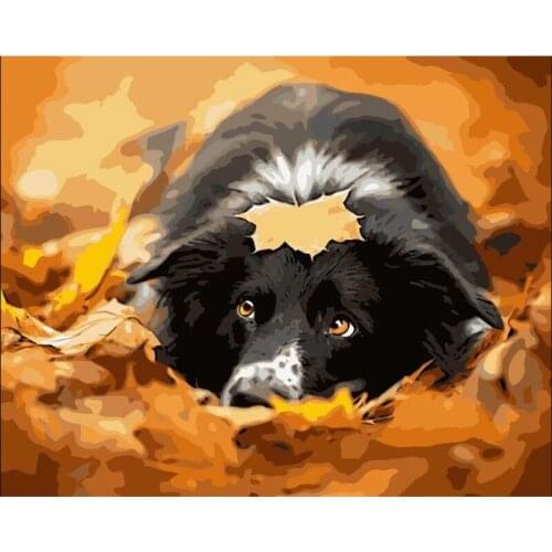 Diy oil digital painting Dog series by numbers kits abstract acrylic paint by numbers for adults home Decoration