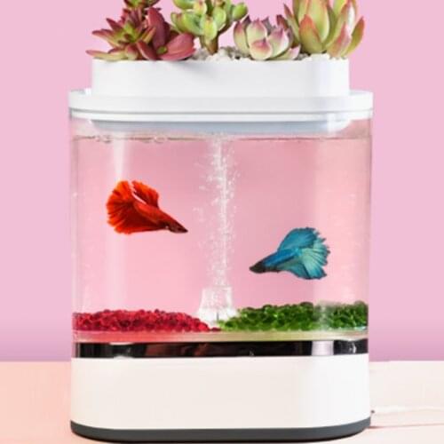 Mini Fish Tank Desktop Marine Aquarium Aquarium Fish Tank with Water Filter LED Light Lazy Air Pump Portable Decoration