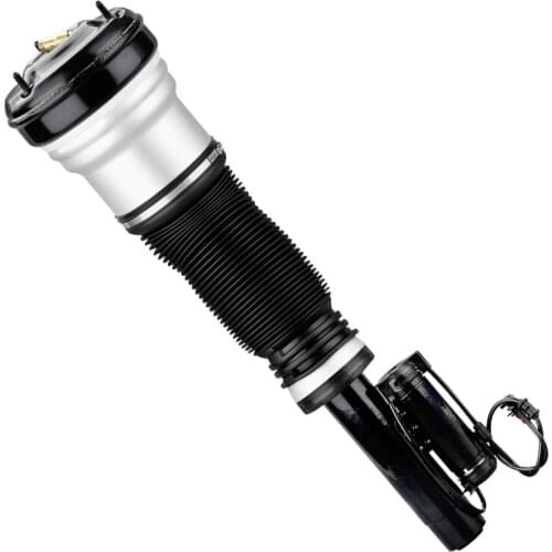 220320243880 Front Suspension Strut for Mercedes-Benz S-Class W220 S280 S320 220320243888, 220320511360 220320511380