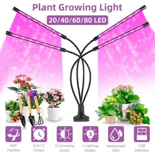 LITOM Phytolamps For Plants