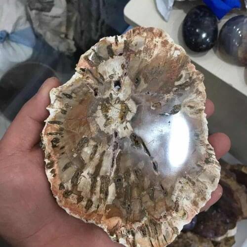 MOKAGY 500g-650g Natural Brown Fossils Wood Quartz Crystal Slice 1pc