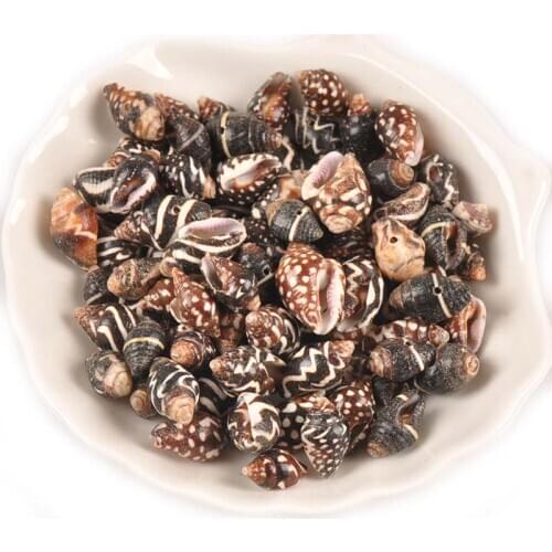 20pcs Natural Black Stripe Spiral Conch Seashells For Making Jewelry Handmade DIY Crafts Shells Home Beach Decor One Hole TR0370