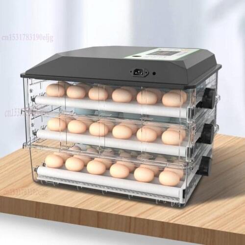 Chick, Goose, Parrot, Egg Incubator, Egg Incubator, Small Household Water Bed Incubator, Full Automatic Intelligence