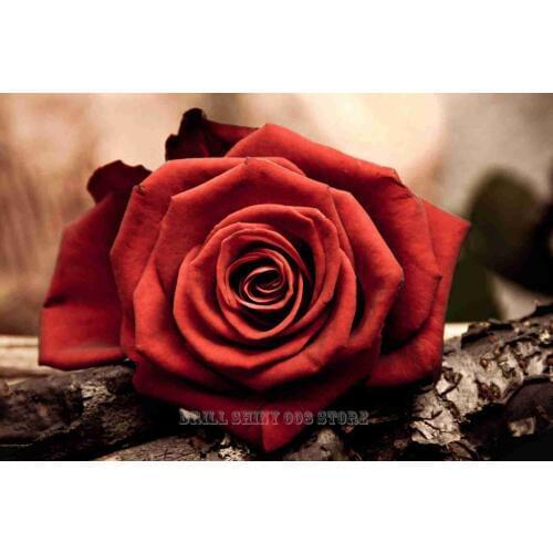 5D DIY Diamond Painting Red Rose Flower Picture art Cross Stitch Gifts Diamond Embroidery mosaic needlework butterfly Home Decor