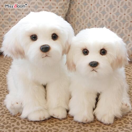 Miss Bloom Dog Toys