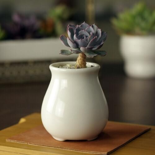 5.3x5.3x7.8cm Creative simple white fleshy old pile with a small ceramic pot belly round flowerpot freeshipping