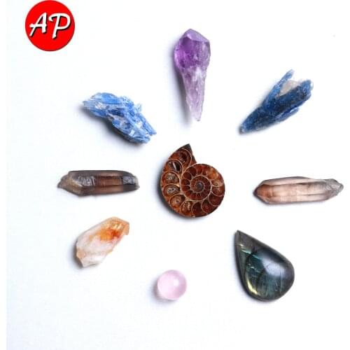 9PCS /Set Natural Color Gemstone Conch Fossils Rough Quartz Crystal Mineral Collection Geography Dreamer Teaching