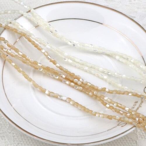 Natural Horseshoe Snail Shell Beads 3*4 MM Small Cylinder Loose Beads For DIY Making Jewelry Necklace Bracelet Ring Charm Craft