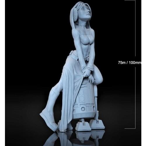 1/24 75mm 1/18 100mm Resin Model Kits Leia Princess Figure Unpainted No Color RW-164