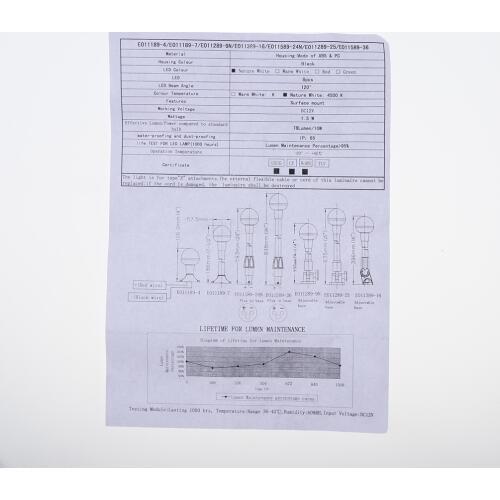 12V DC Warm White LED Anchor Navigation Light Signal Light Daytime Lamp fit for Sailing, Boat