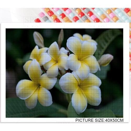 Frangipani Bluebell Diamond Painting Diy Home Decoration Handmade Gift Flower Plant Mosaic Patch Diamond Embroidery Wall Art