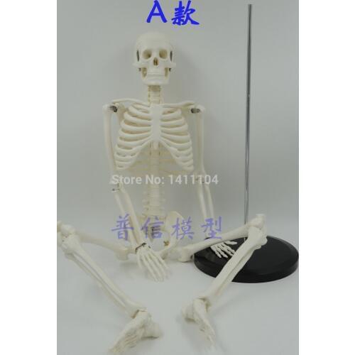 Наглядные пособия CALOGE China At AliExpress