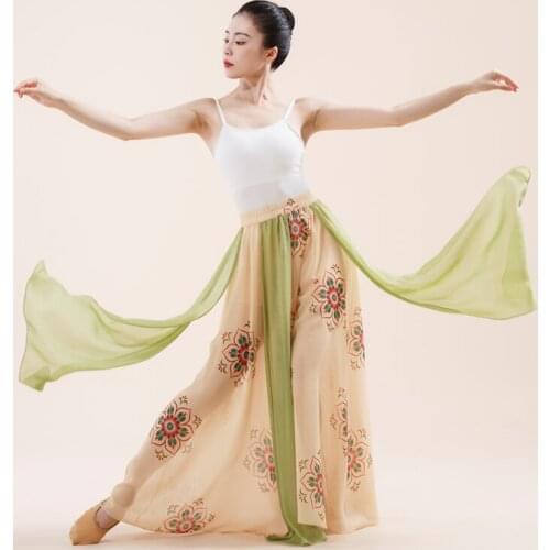 Chinese Folk Dance Practice Skirt Female Elegant Classical Dance Double Layer Skirt Bellydance Clothes Oriental Clothing DQL5973