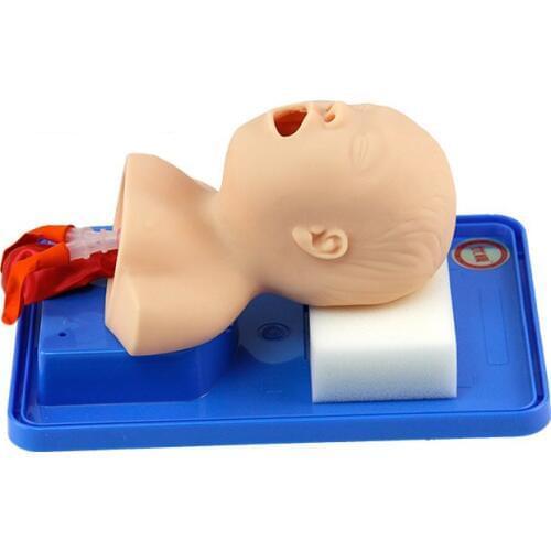 Neonatal tracheal intubation model human intubation teaching simulation model