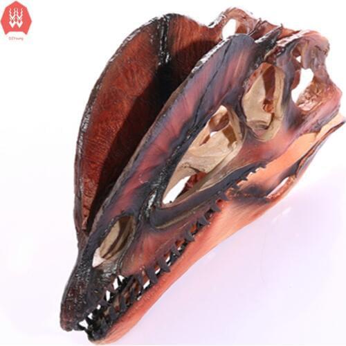 Ceative Resin Dinosaur Skull Craft Statues Dilophosaurus Skeleton Head Home Decoration Figurines Sculpture Collection Gift