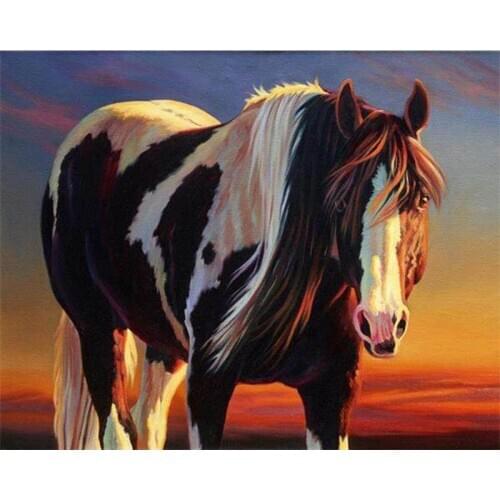 DIY Digital Painting By Numbers Water lily oil painting mural Kits Coloring Wall Art Picture Gift frameless