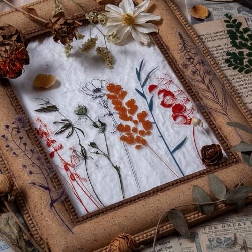 30Pcs/Pack Vintage Eucalyptus Fern Flower PET Stickers Package DIY Diary Journal Decoration Label Sticker Album Scrapbooking