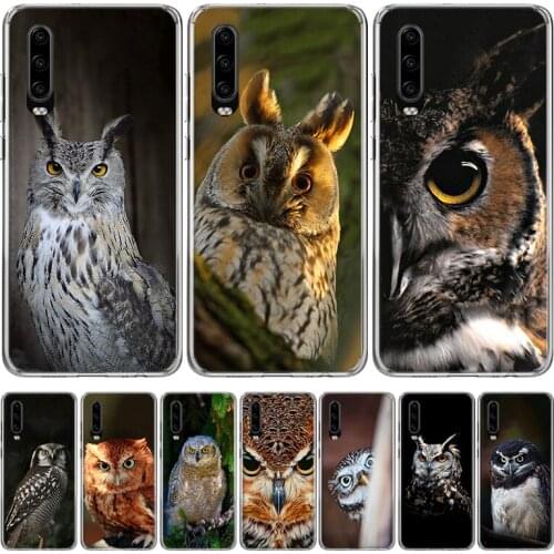 Camouflage Owl Phone Case for Huawei P30 P40 P20 P10 Mate 20 10 30 Lite Pro P Smart Z Plus + Art Luxury Cover Coque