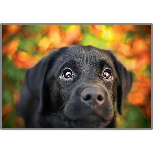 Great Painting "Labrador Retriever" 5D DIY Diamond Painting Full Square/Round Diamond Embroidery Sale Rhinestones Picture