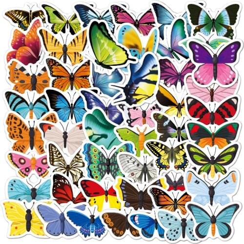 ROSHK Kids Skateboards