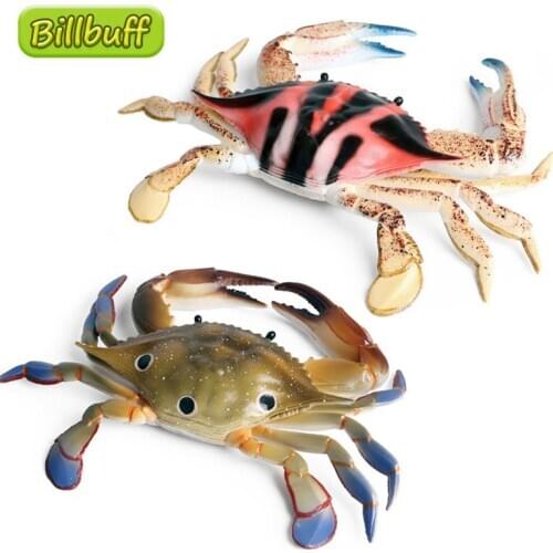 Big Size Simulation PVC Ocean Animals Model Action Figures Portunid Crab Collection Cognition Educational Toys for Children Gift
